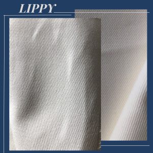 ART: DRILL PPT LIPPY