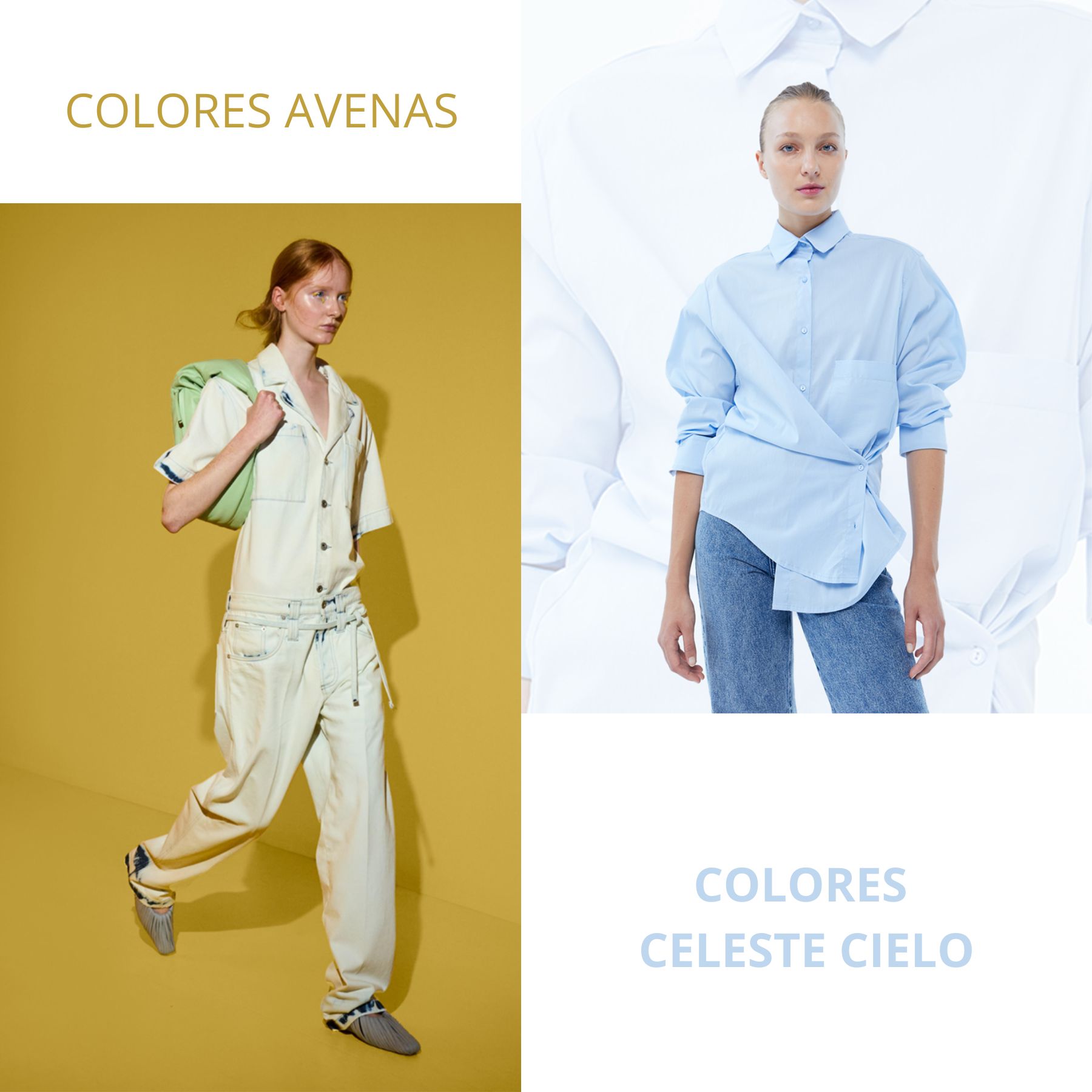 ART: TAFETA PPT BOLT - Imagen 4